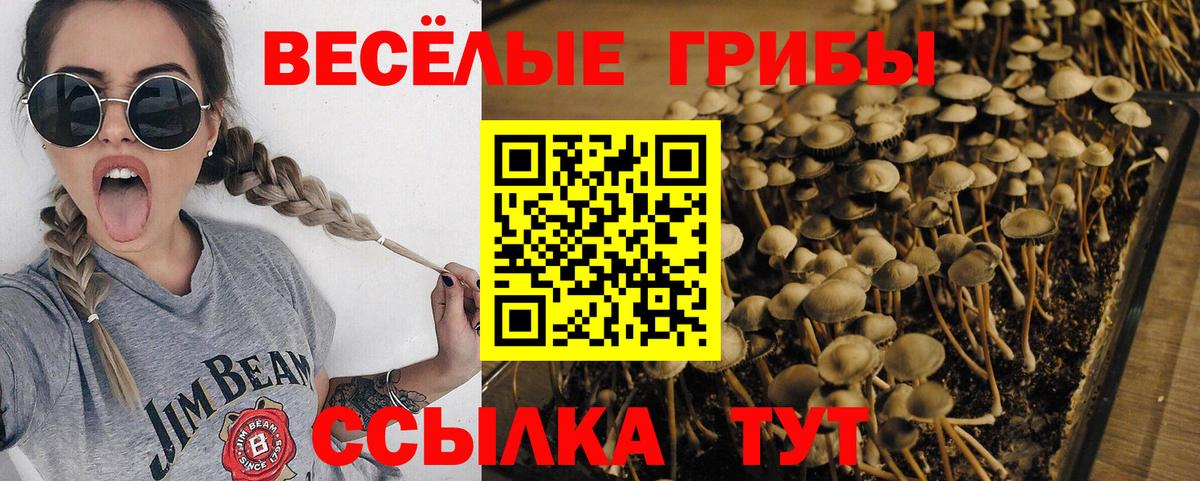 Псилоцибиновые грибы прущие грибы Владикавказ